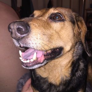 Meet your Posher, Alexis